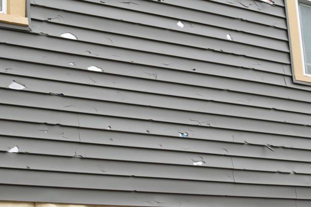 Best Construction Debris Removal  in Belmont, PA